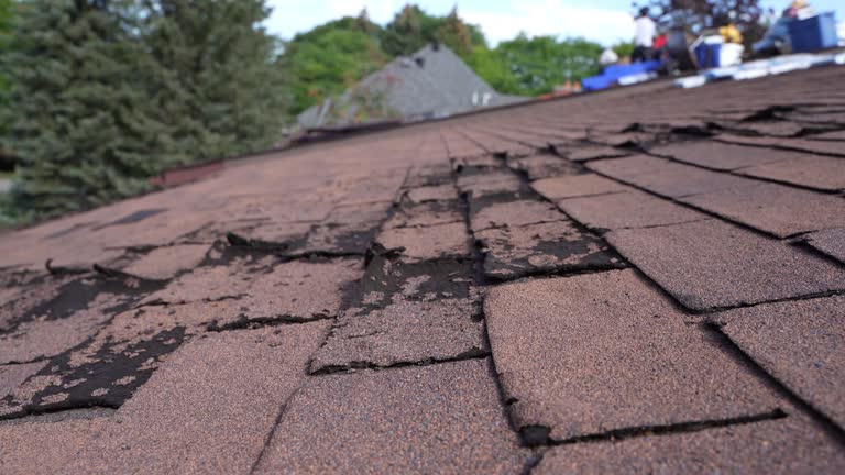 Best Roof Installation  in Spicer, MN